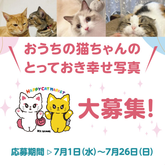 LINEお友達限定企画！毎日チャンス！来店スタンプラリー100days✨